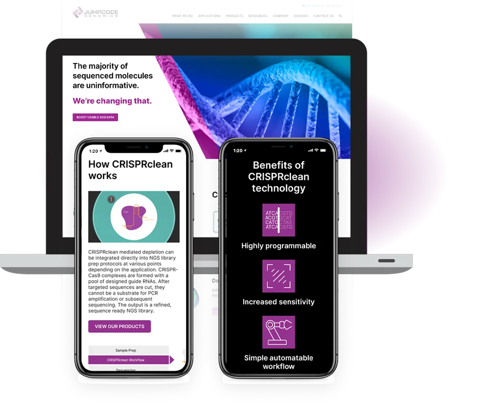 The webpage viewed on a laptop and mobile phone.