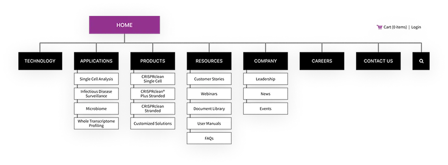 A wireframe of a sitemap